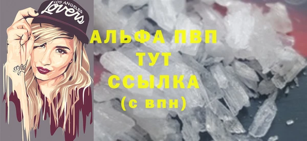 гидра Вязьма