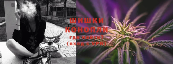 гидра Вязьма