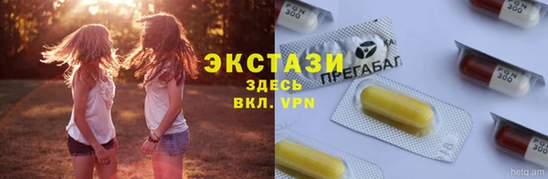 гидра Вязьма