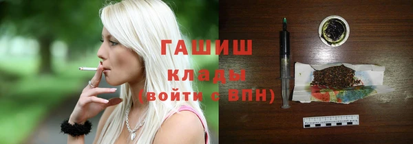гидра Вязьма