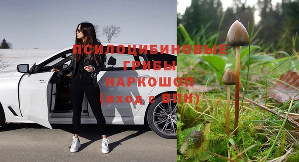 дживик Вяземский