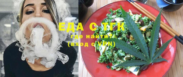 гидра Вязьма