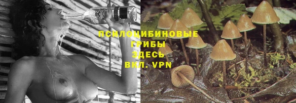 дживик Вяземский
